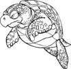 turtle 4