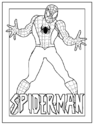 spiderman 04