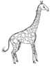 giraffe 18