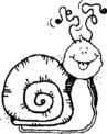 snail 5