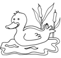 duck 4